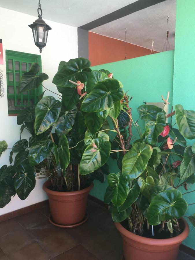 הוילה סנטה קרוס דה לה פלמה Casa Angeles מראה חיצוני תמונה